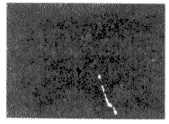 六种高通滤波器抑制大面积低频背景的效果与性能比较方案27 六种高通滤波器抑制大面积低频背景的效果与性能比较方案27