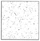 高空背景条件下红外低信噪比运动点目标的检测问题解决方案11 高空背景条件下红外低信噪比运动点目标的检测问题解决方案11